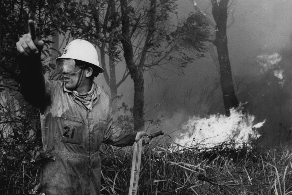 A fire-fighter battles flames yesterday at Forest Way, Belrose. December 18, 1979.