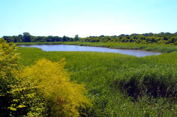 Ridgewood Reservoir.