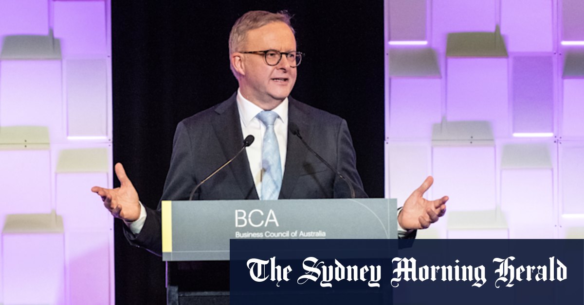 Prime Minister Anthony Albanese woos big end of town at Australian Business Council dinner - Vimarsana News