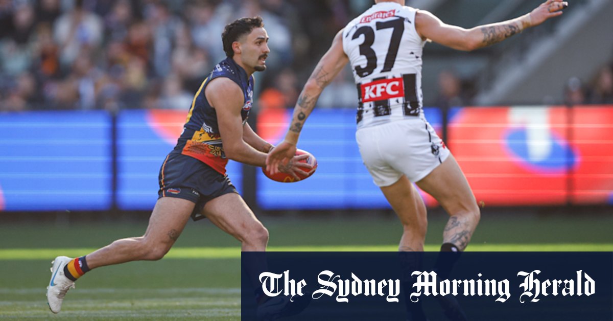 AFL 2024: Call on Adelaide Crows' Izak Rankine shows footy's shades of grey - Vimarsana News