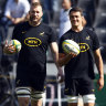 Could a law tweak defuse the fearsome Springboks ‘bomb squad’?