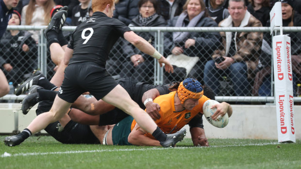 Why rugby Bazball could be the answer for the Wallabies at the World Cup