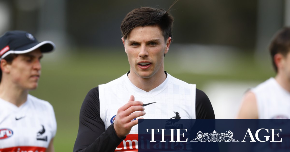AFL trades 2022: Jordan De Goey signs new five-year deal with Collingwood Magpies; Karl Amon joins Hawthorn Hawks on four-year contract; Ollie Henry seeks trade to Geelong Cats; Tom Papley spurns free agency, signs five-year deal with Swans - Vimarsana News