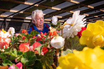 Begonia grower Kevin Moneghetti, surrounded by vibrant colours at his Broomfield farm.