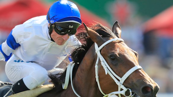 Glen Boss rides Kolding to victory.