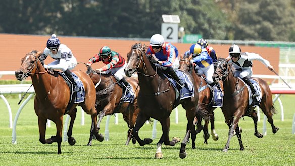 Australian Racing: Black-type race control ceded to Asian Racing ...