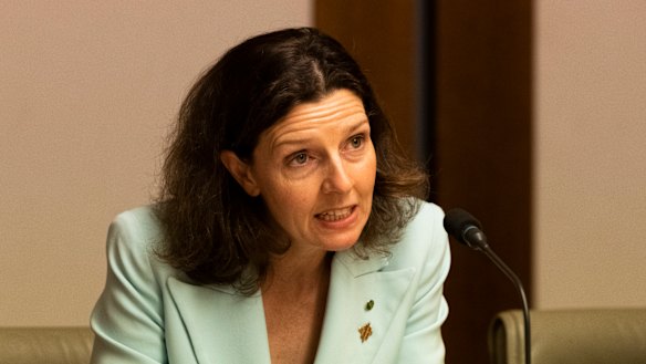 Allegra Spender’s tax roundtable is expected to produce a green and white paper on tax reform by year’s end.