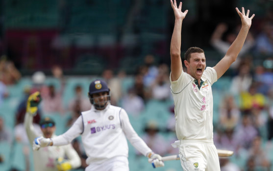 Josh Hazlewood worked hard for the breakthrough against India on day two of the Sydney Test.