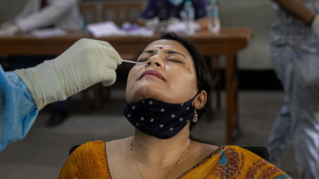 An Indian health worker collects nasal swab samples at a school before classes open in Gauhati, India.