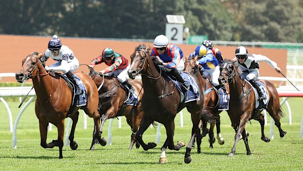 Racing Australia has lost control of its grading system.