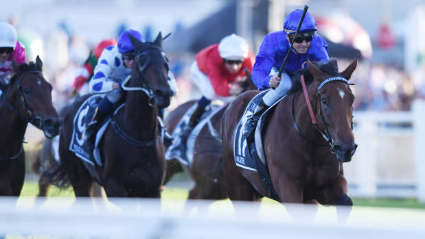Topliner: Alizee is one of five group 1 winners contesting the inaugural All-Star Mile.