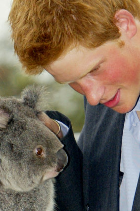 Prince Harry at Sydney's Taronga Zoo in 2003. 