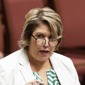 Liberal senator Kerrynne Liddle.