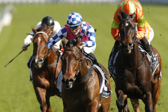 Louise Day punches Man of Peace to another Randwick win.