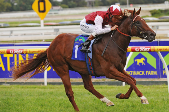 Sepoy wins the 2011 Blue Diamond for Peter Snowden.