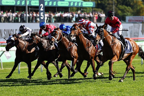 Within The Law, left, comes with a late run in the Silver Eagle.