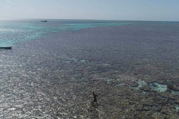 Indonesian vessels fishing illegally at Rowley Shoals 