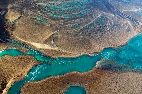 Montgomery Reef’s waterfalls in the Kimberley, only accessible by ship.