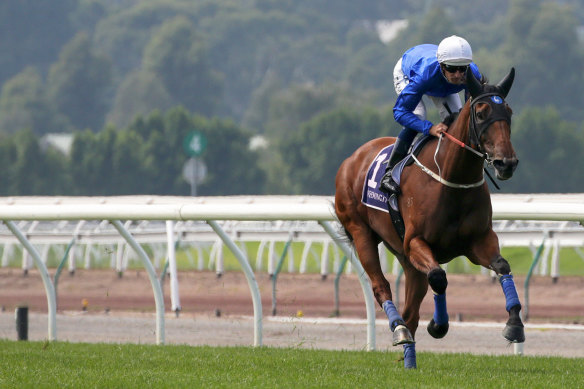 Alizee is part of a strong field for Saturday's Expressway Stakes at Rosehill.