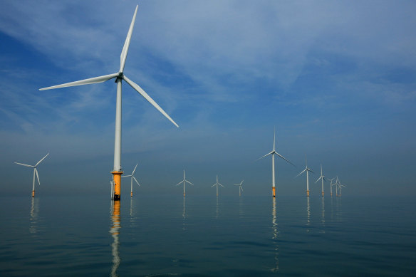 The Global Wind Energy Council expects wind will provide up to 20 per cent of electricity by 2030. 