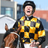 Thousand Guineas trophy on the plane to NZ