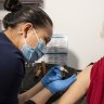 Free shots fail to boost flu vaccination rates, as COVID hospitalisations rise