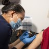 Free shots fail to boost flu vaccination rates, as COVID hospitalisations rise