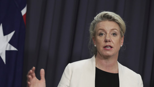 Nationals deputy leader Bridget McKenzie