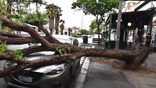 Melbourne weather: Tens of thousands of Victorians without power as ...