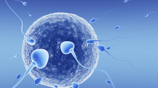 Computer-generated sperm and eggs