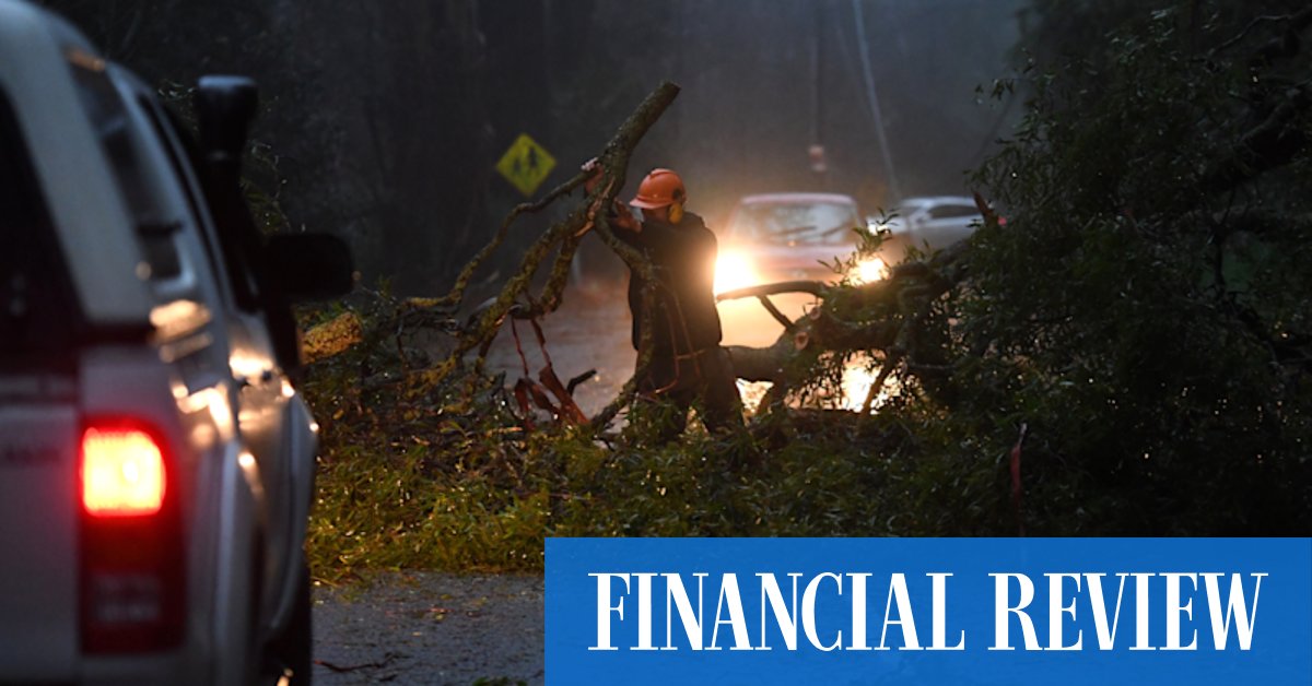 NSW snow photos: Snow dumped on NSW, as trees fall in Victoria - Vimarsana News