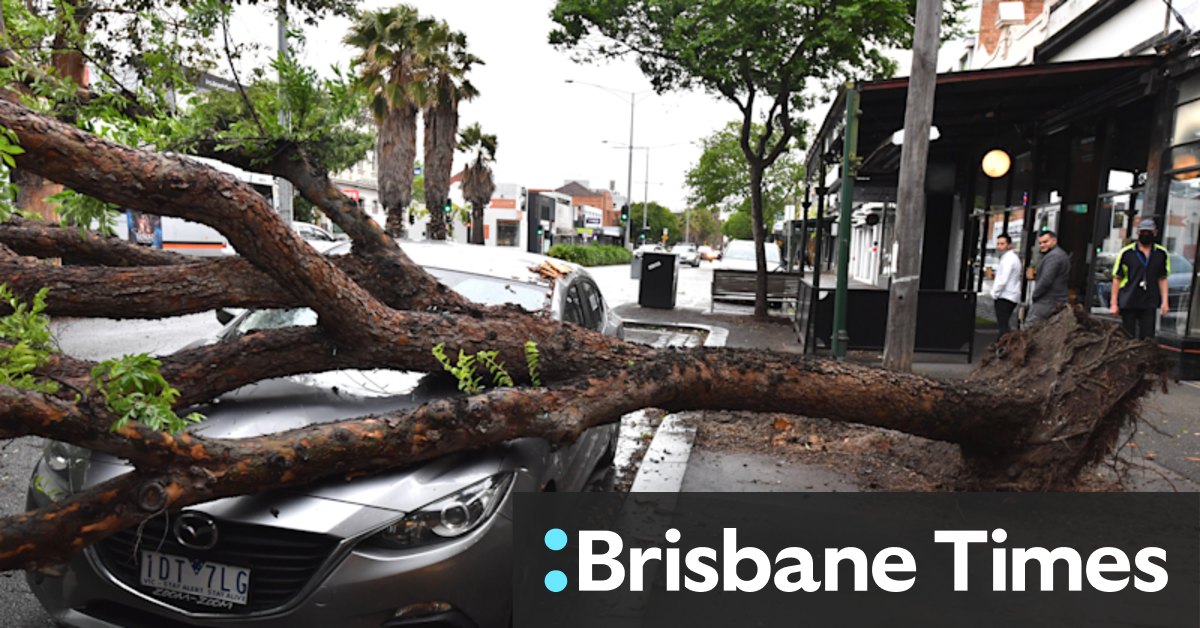 Victoria weather: Power outages, fallen trees after storm lashes state - Vimarsana News