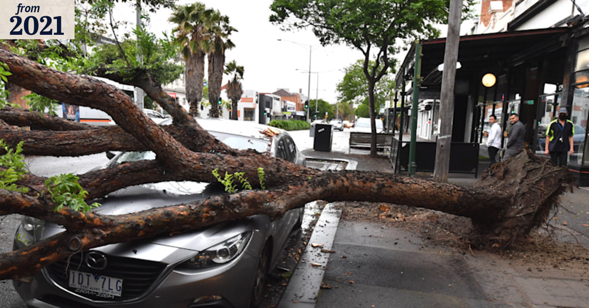 Victoria weather: Power outages, fallen trees after storm lashes state