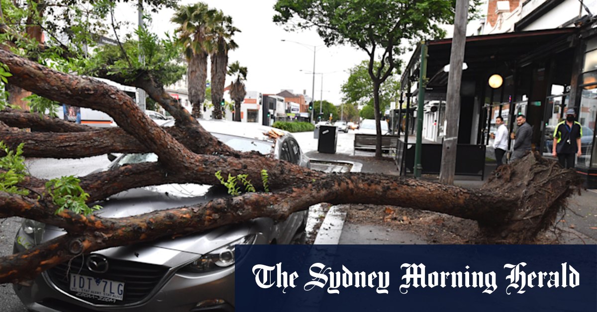 Victoria weather: Power outages, fallen trees after storm lashes state - Vimarsana News