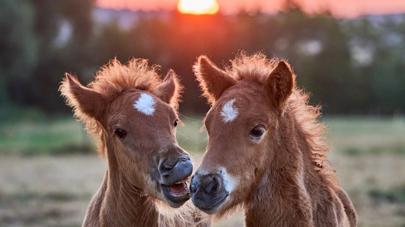World in pictures this week, July 23, 2026