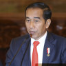 Jokowi pursues majority rule, not democracy, in Indonesia