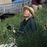 Kirsty Richards, a volunteer gardener of Melbourne’s train station gardens, is concerned about the future of the volunteer program.