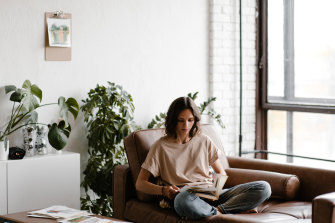 How House Plants Can Benefit Your Mental Health And Wellbeing