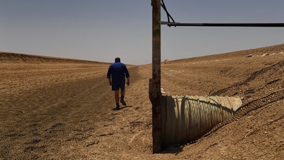 Communities at risk: NSW government says it will reject a call by the SA Royal Commission to buy back more water from irrigators, such as this cotton farm near Bourke.