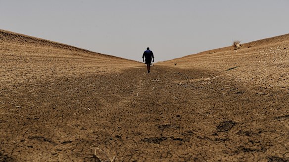 The manager of cotton farm, Darling Farms, in North Bourke, walks along a dry irrigation channel. 