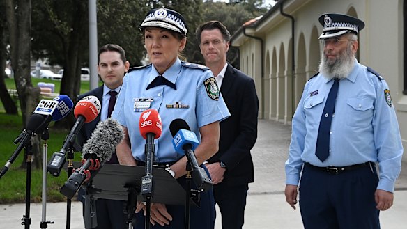 NSW Police Commissioner Karen Webb says she is worried about the safety of revellers.