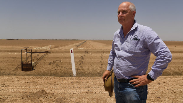Michael Murray, general manager of Cotton Australia, stands near the dry cotton fields at Darling Farms near Bourke in January 2019.