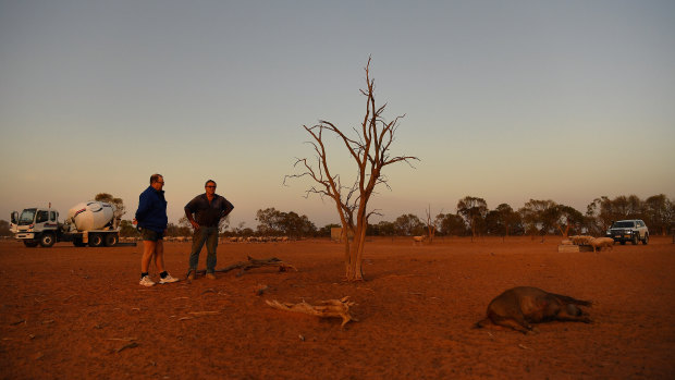 A dead feral pig lies on the ground, with farmers Justin McClure from Kallara Station and Stuart Le Lievre on Stuart’s Yathonga Station, looking on near the Darling River.