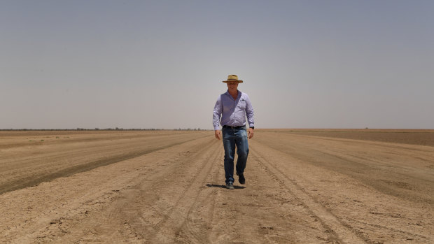 Some big cotton farms, such as this one near Bourke in NSW, did not get a crop in the 2018-19 year.