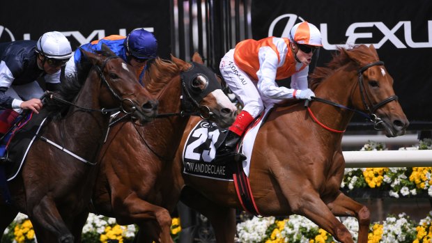 Vow And Declare wins the 2019 Melbourne Cup