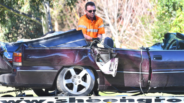 A man has died after a very large tree fell on the Warburton Highway.