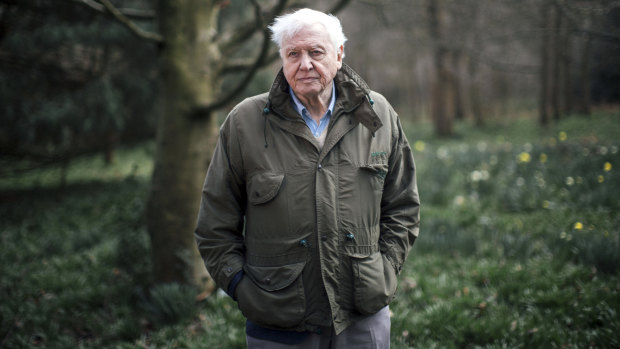 BBC natural history star Sir David Attenborough.
