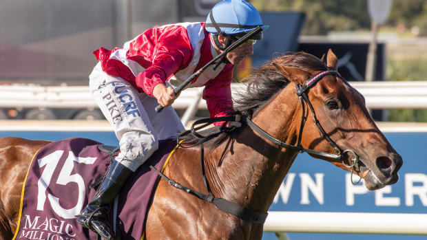 Going rural: Arcadia Queen will be based at Hawkesbury if the Golden Eagle is put on the agenda.