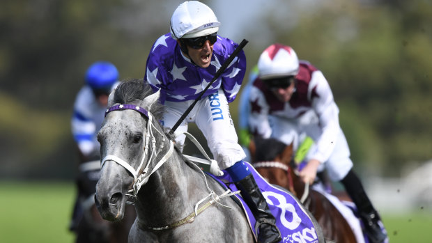 Waller wonder: D'Argento will look to  join Waller's winners of the Doncaster on Saturday.
