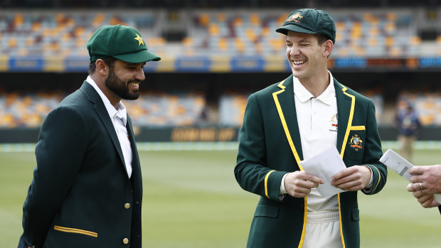 Tim Paine has restored the status of the Australian men's Test team, according to the survey.